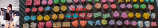 хмурый Нея